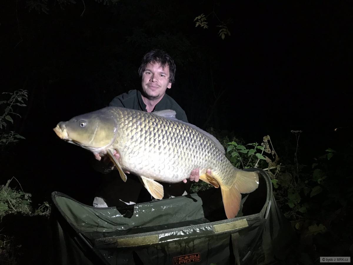 89cm, 15kg, Medové víly od NoMoreAnimosity