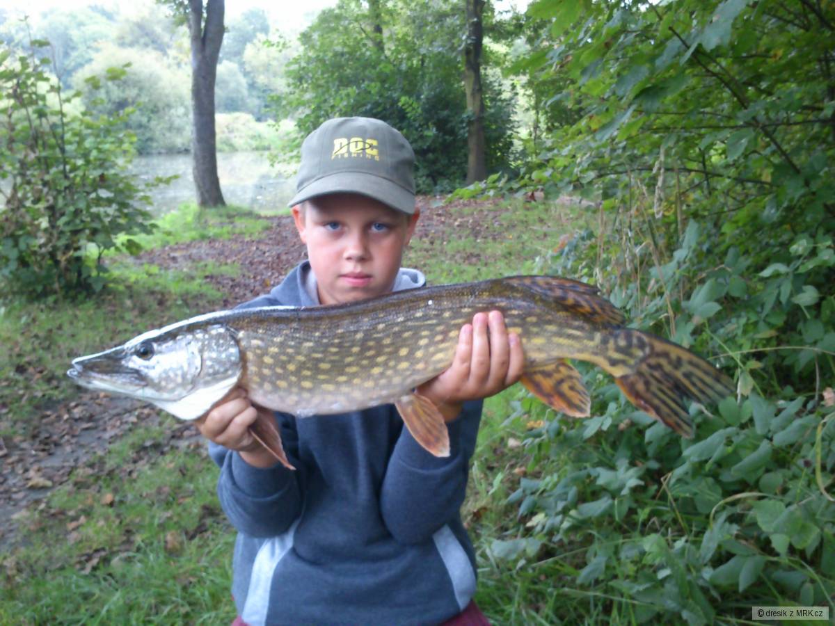 štika 70cm