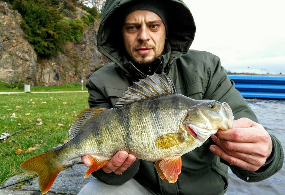 35 cm