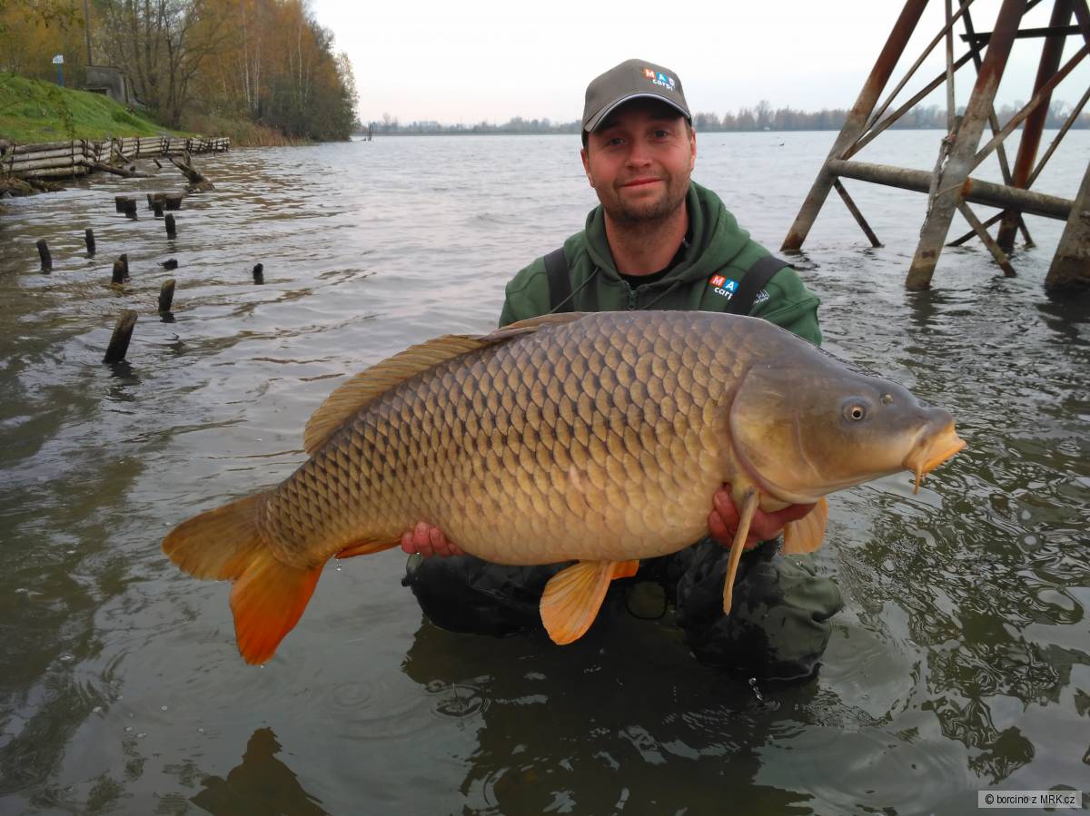 kapřík 102 cm 19,3 kg