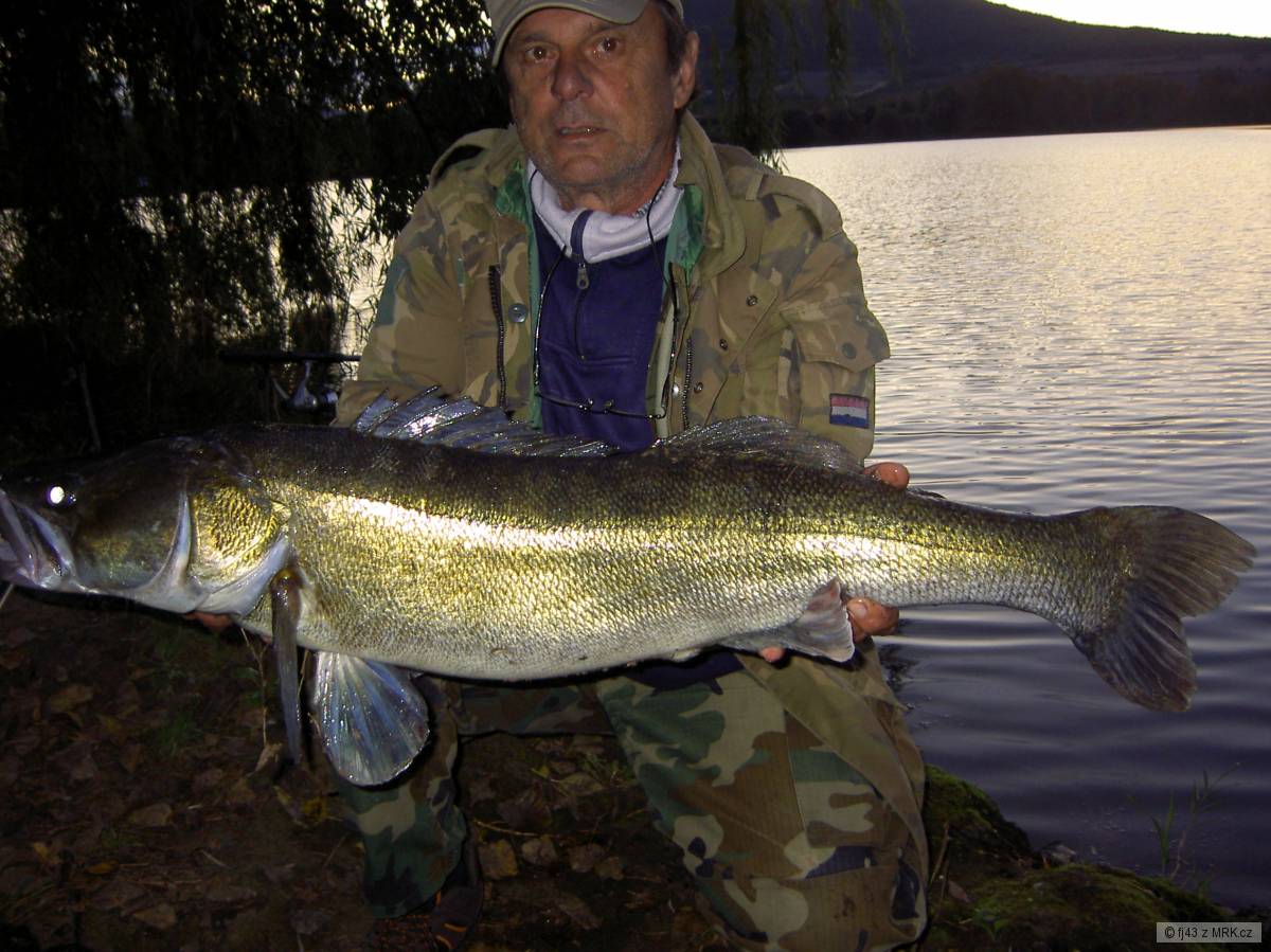 Zernoseky Candat 97cm 7.30kg
