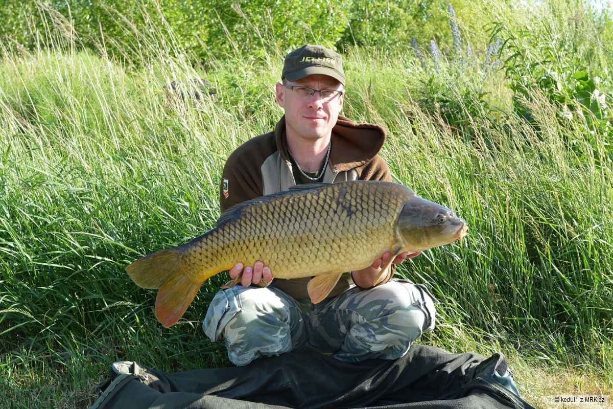 10kg
