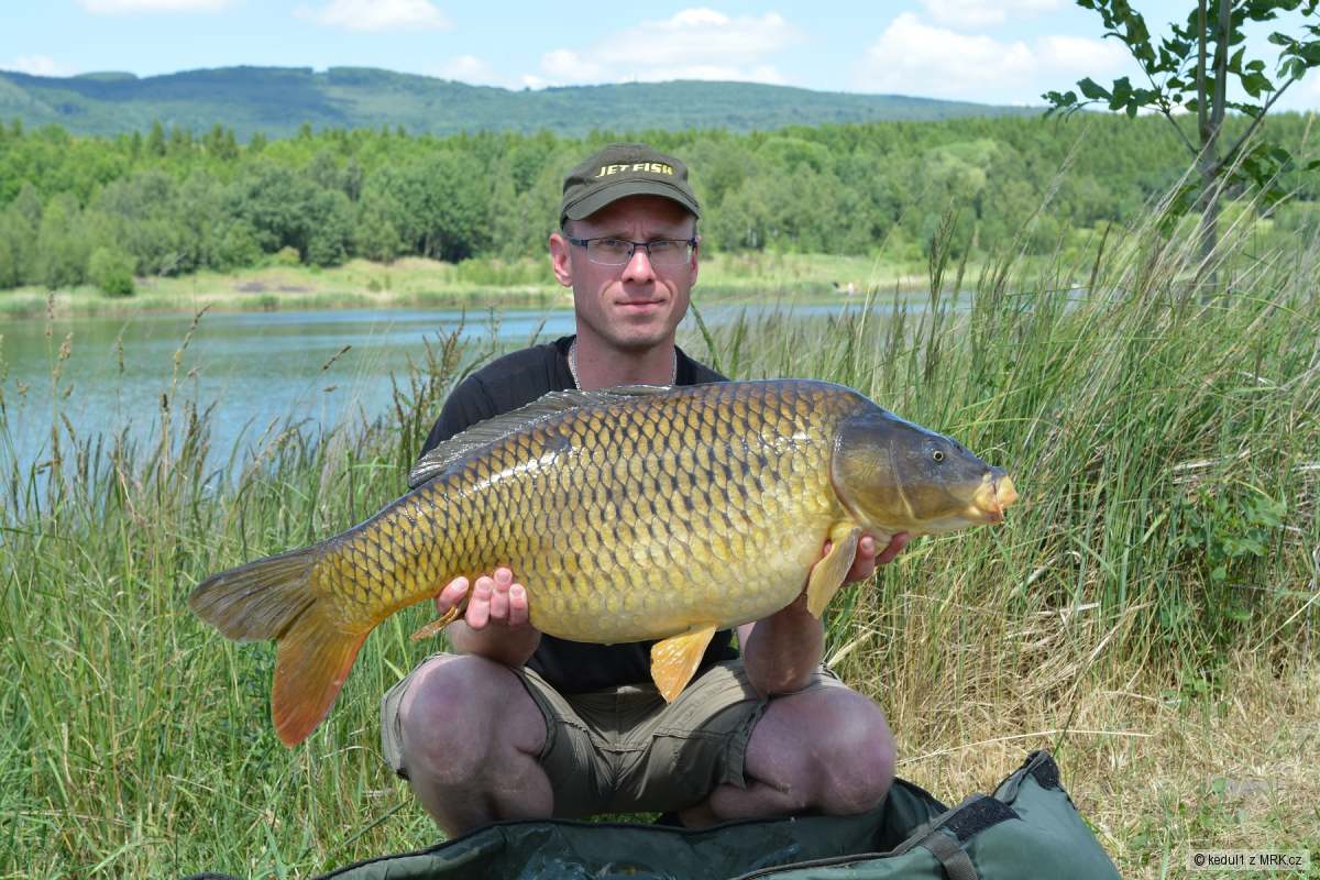 14kg