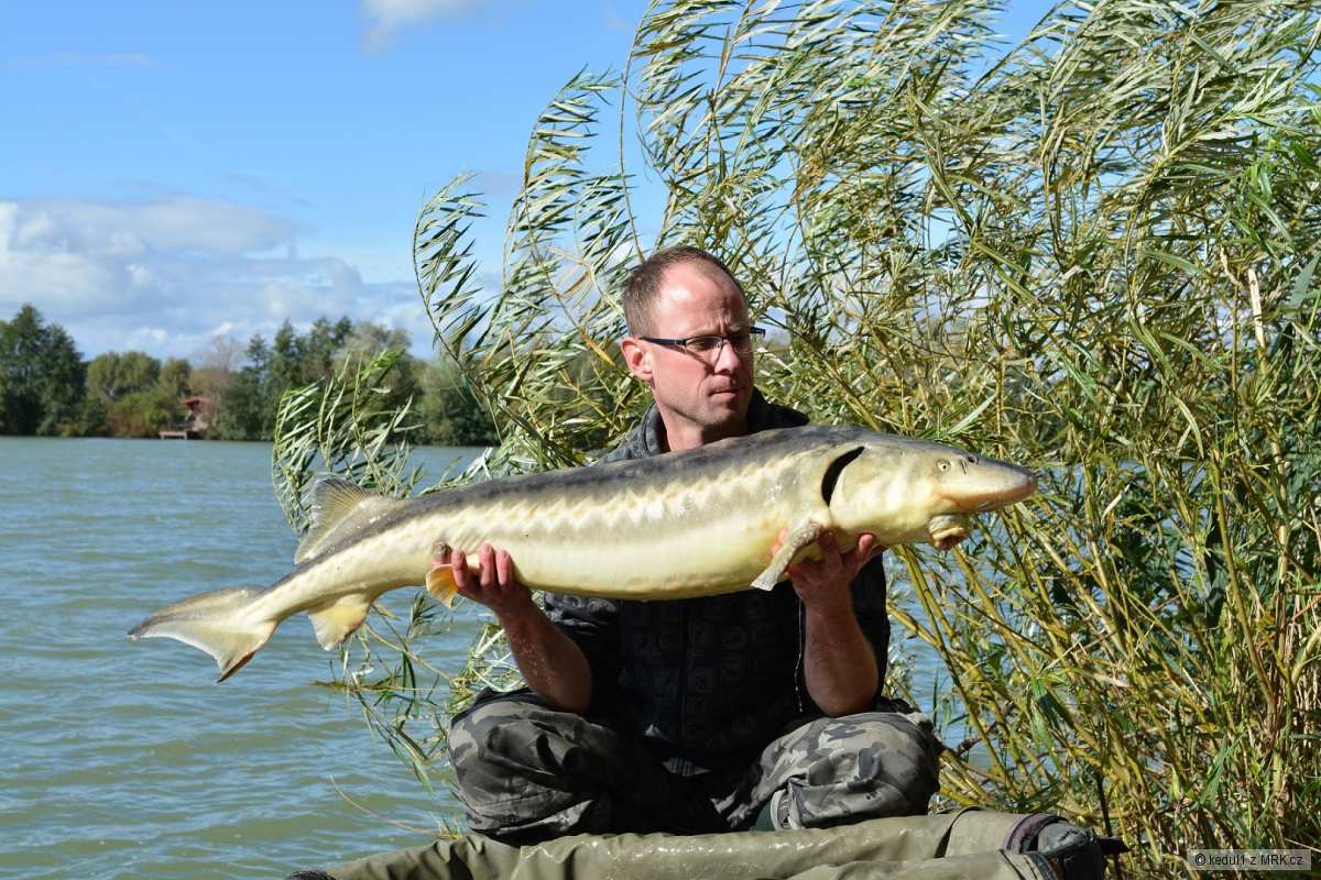 125cm 15kg