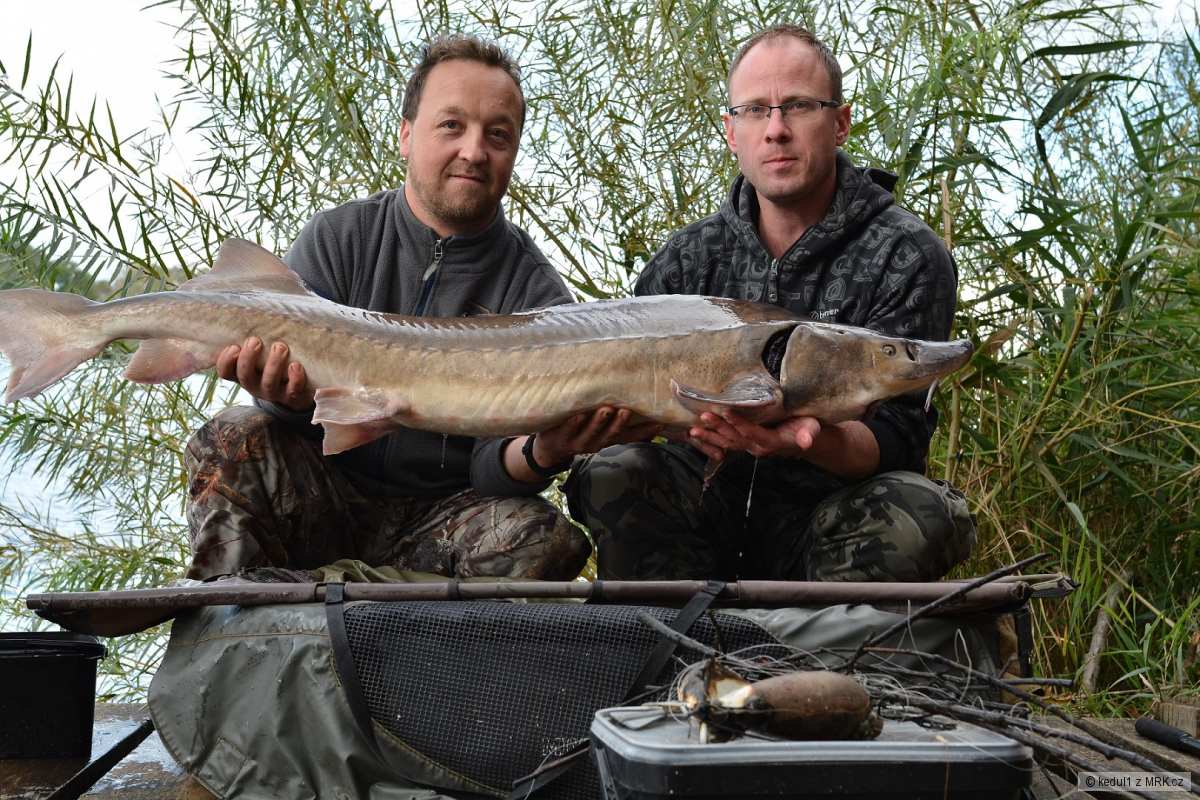 145cm 16kg- nevěřil bych, nezažít :-)