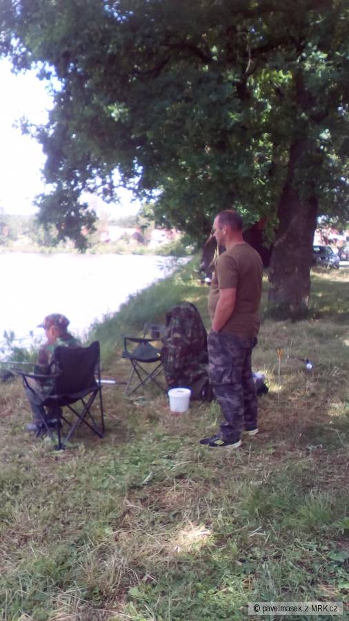 Z�vody 