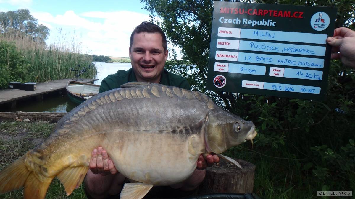 Kapr 14,20 kg