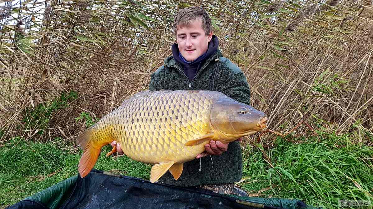 18.5 kg