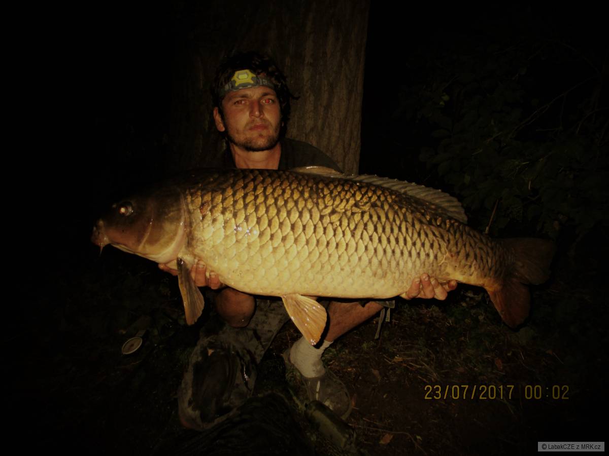 Labe
