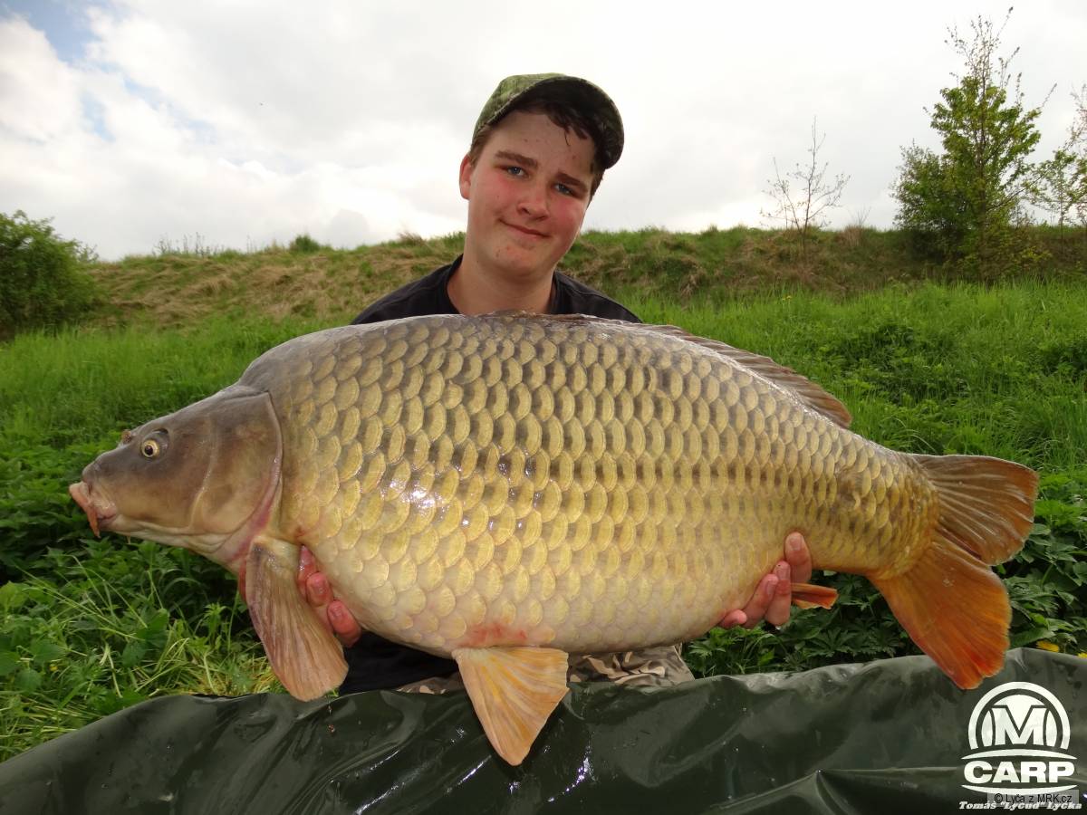 carp