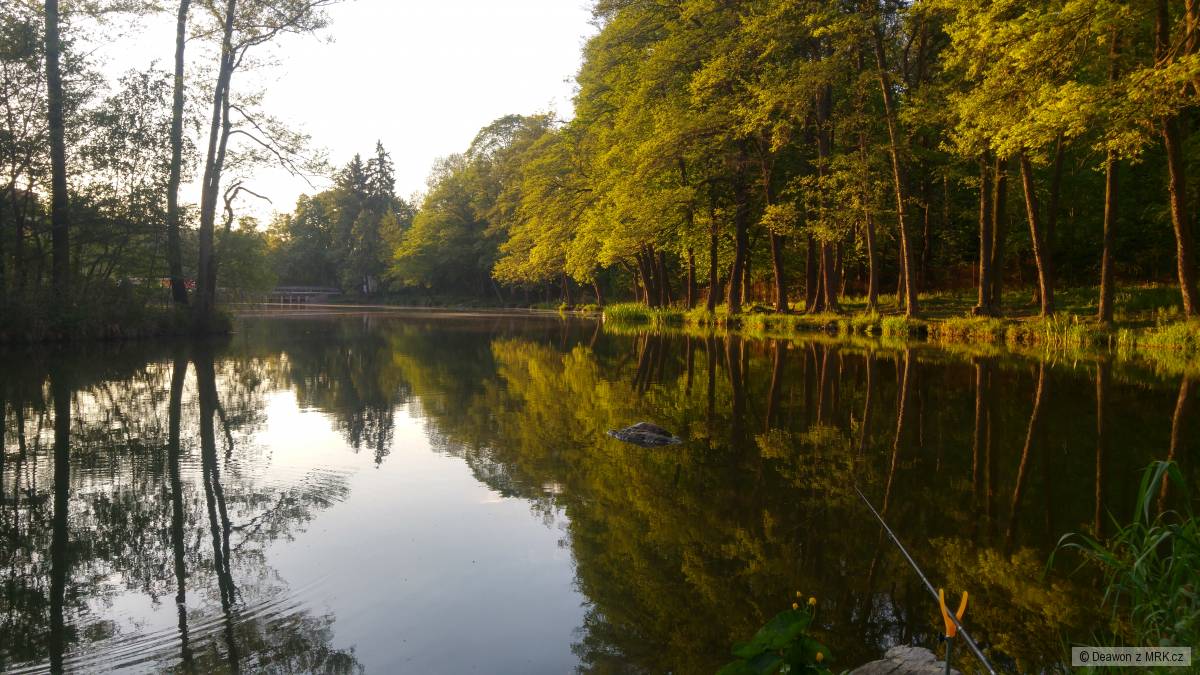 Kravák