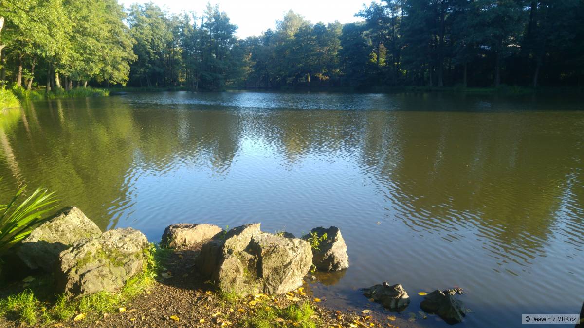 Kravák