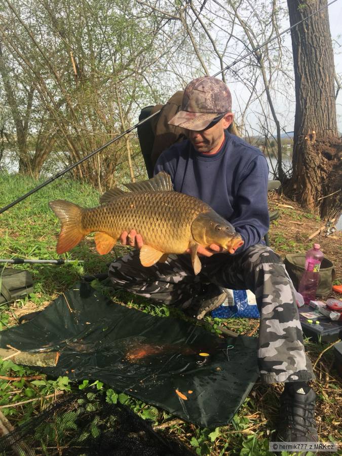 Šupík 70 cm. 7 kg.