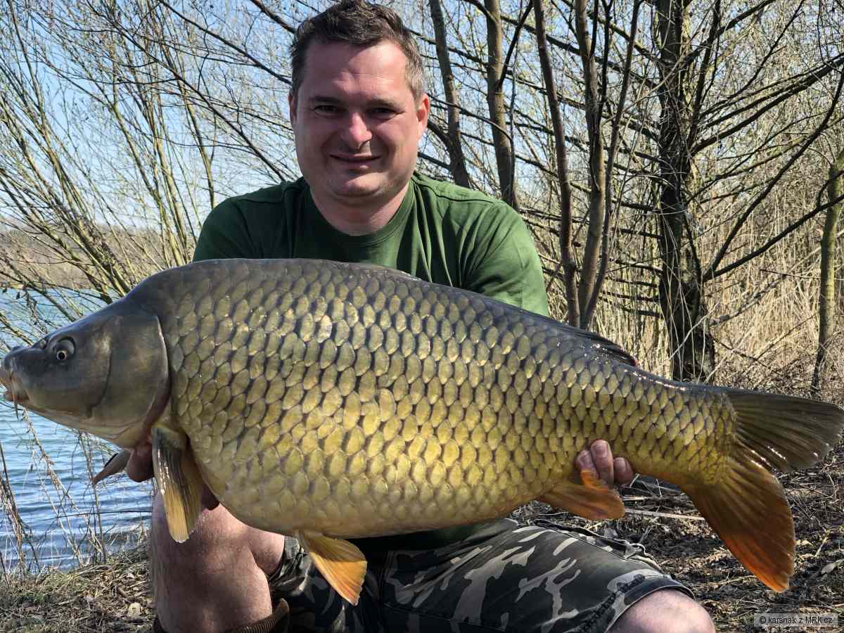 Kapr 12,0 kg