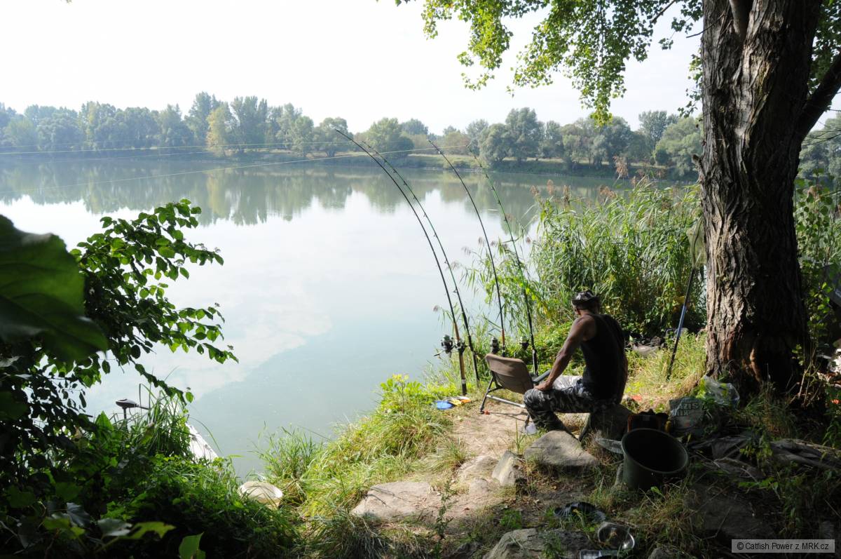 Dunaj