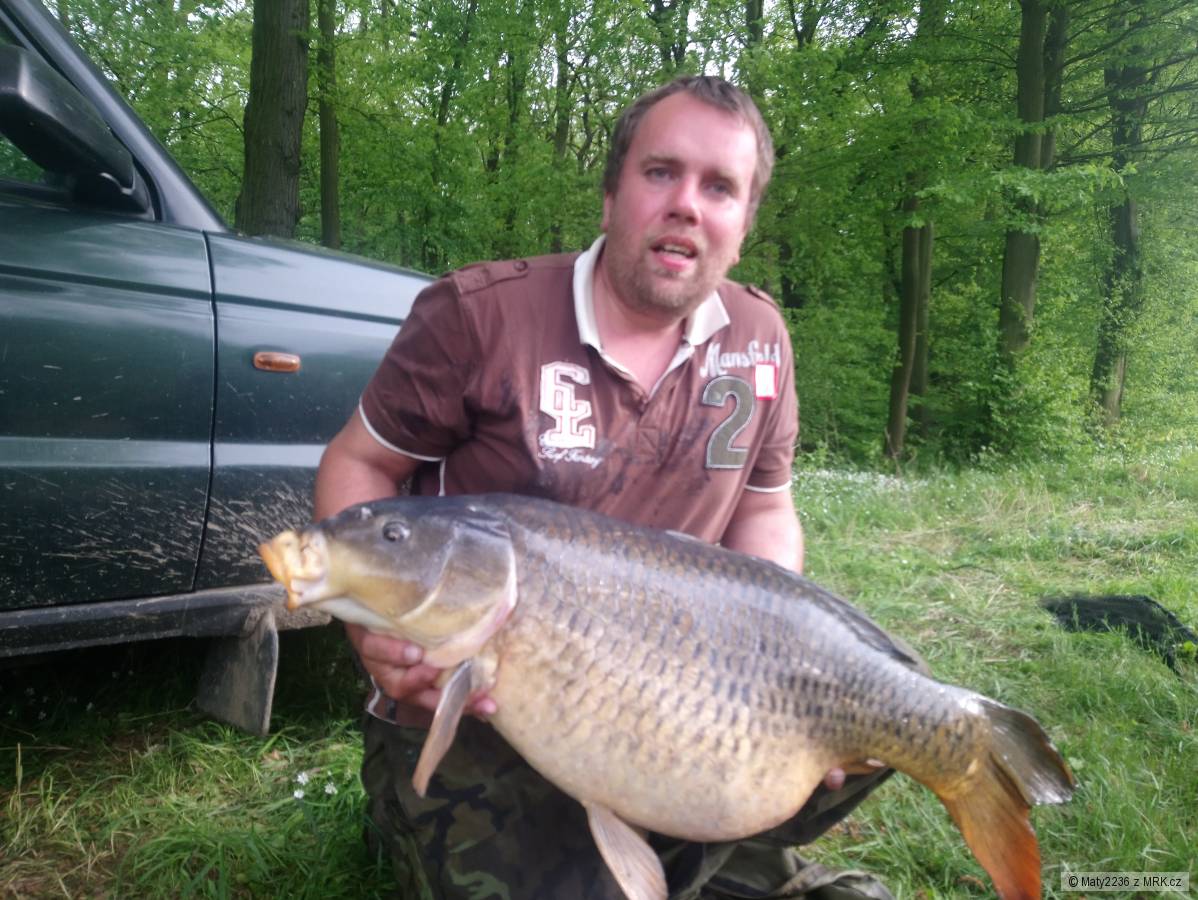Labe. Duben 2018