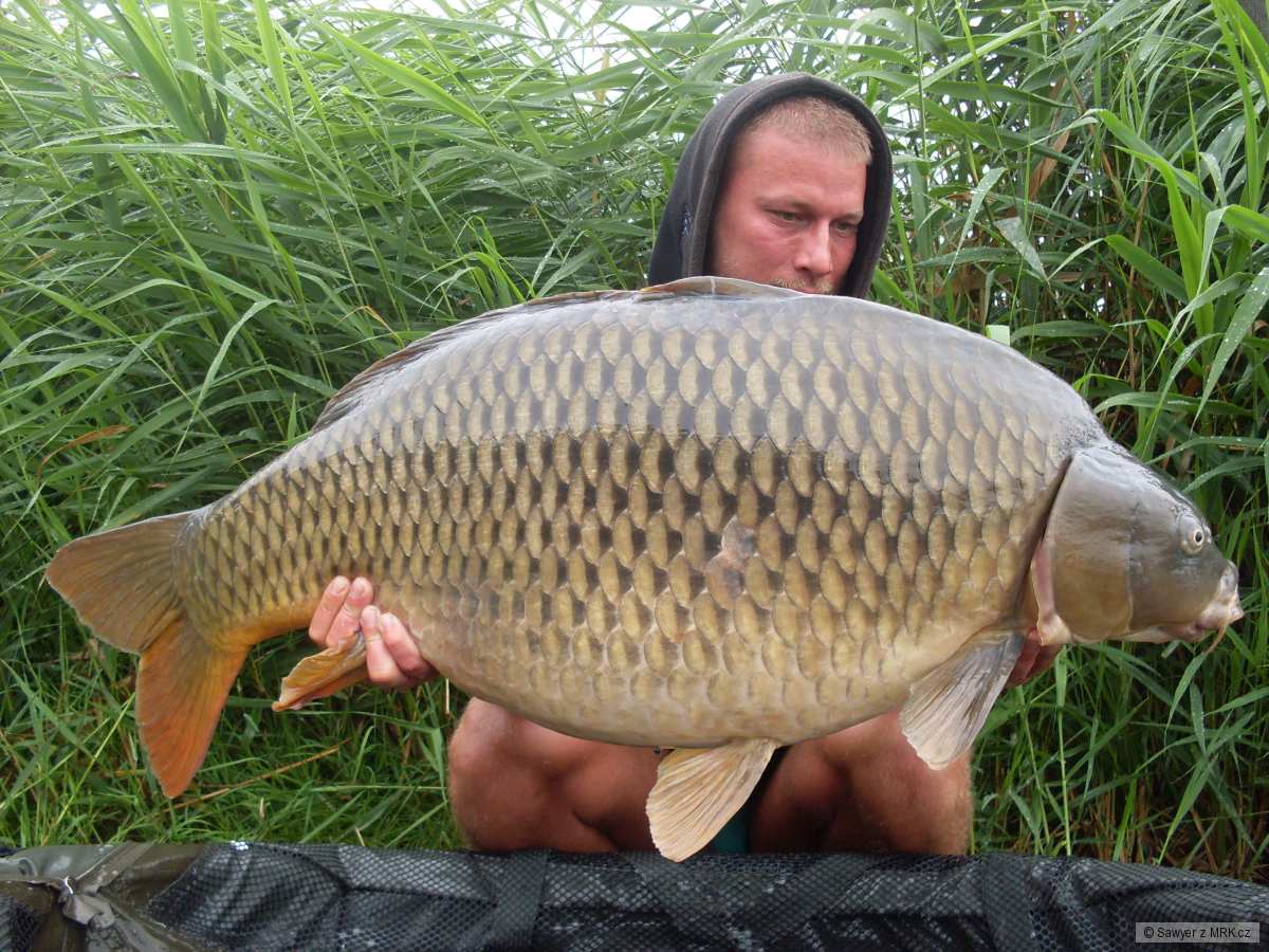 22.9 kg