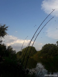 relax