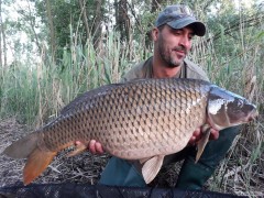 Kliknutím fotografii zvětšíte 13.5kg