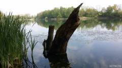 Kliknutím fotografii zvětšíte