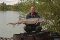 Kliknutím fotografii zvětšíte Jeseter Bílý 14,7kg