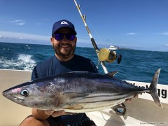 Kliknutím fotografii zvětšíte Bonito/ BGF Mauritius 2019
