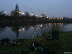 Kliknutím fotografii zvětšíte Feeder den před Štedrým dnem