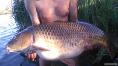 Kliknutím fotografii zvětšíte jezero v Čechách