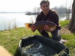 Kliknutím fotografii zvětšíte Lin 60cm