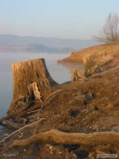 Od vody
