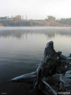 Od vody