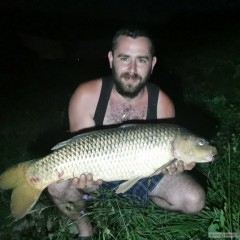 Kliknutím fotografii zvětšíte Kapr 80 cm