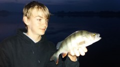 Kliknutím fotografii zvětšíte okoun kolem třicítky