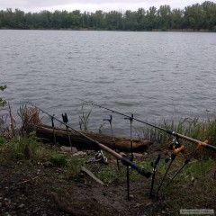 Kliknutím fotografii zvětšíte U vody :)