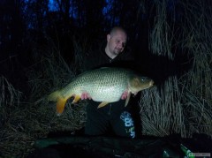 Kapr 12 kg