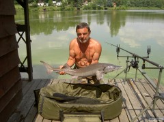 Kliknutím fotografii zvětšíte Pansky rybnik JESETER 120cm