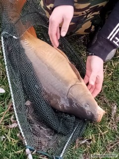 Kliknutím fotografii zvětšíte Krásný kapr 10,3 kg na Jetfish supra squid/scopex 20mm
