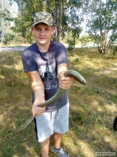 Kliknutím fotografii zvětšíte