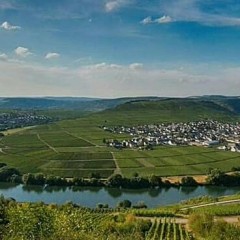 Kliknutím fotografii zvětšíte Mosel
