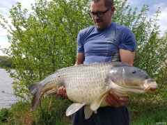 Kliknutím fotografii zvětšíte Kapr Labské Torpedo