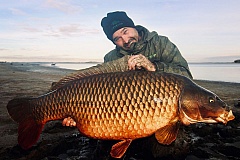 Lac Du Der 34,7kg Monster