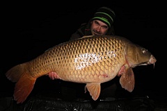 Ma�arsko 21,3kg 2019