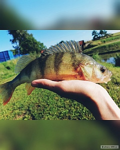 Kliknutím fotografii zvětšíte
