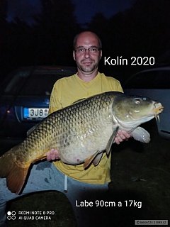 Labe 2020 90cm a 17kg 