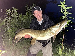 Krokod�l ze svazovky na p��vla�🐊