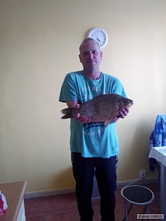 Kliknutím fotografii zvětšíte Karas stříbřitý-48 cm
