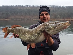 Kliknutím fotografii zvětšíte Štika svazová 97cm.