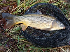 Silvestrovský