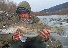 Zub�� 67 cm