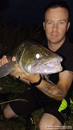 Cand�t 80cm na imitaci 🦞